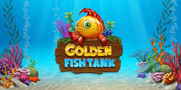 Complete Guide to Golden Fish Tank Slots for Beginners Who Want to Win